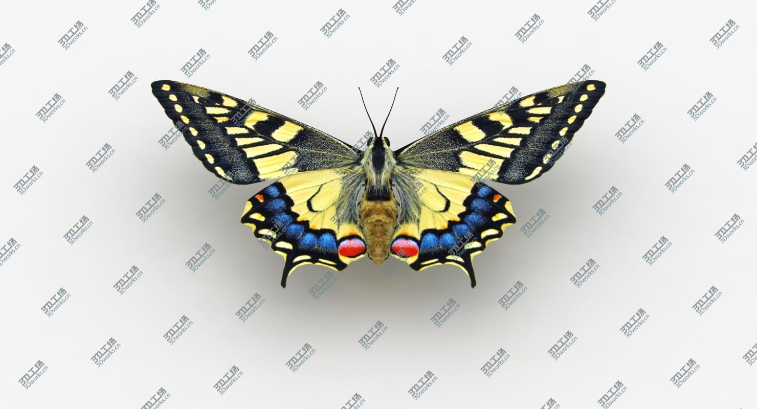images/goods_img/20210319/3D Butterfly Collection 2 model/5.jpg